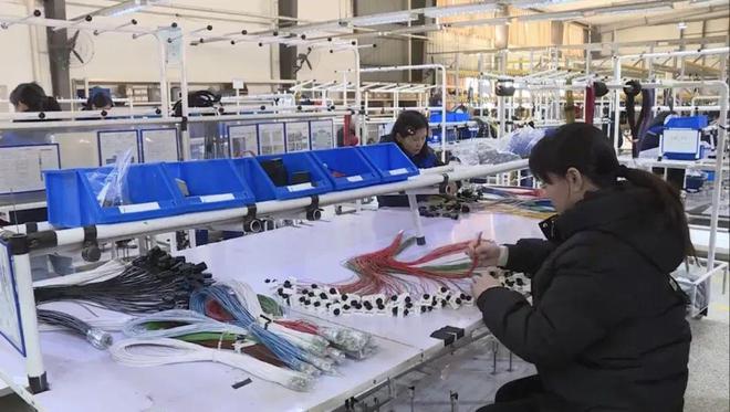牛! 仪征这家企业抢占汽车特种线束市场(图3)